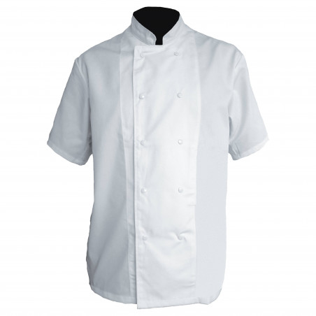 VESTE DE CHEF CUISINIER MANCHES COURTES POLYCOTON CHICAGO PBV