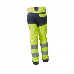 Pantalon Gaston Jaune/marine