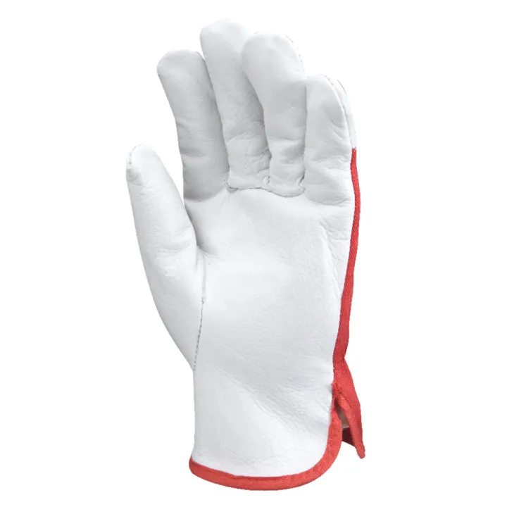 Eurostrong Gant De Ma&icirc;trise Lot De 12