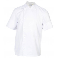 MADRAS Veste de cuisine blanche manches courtes ROBUR