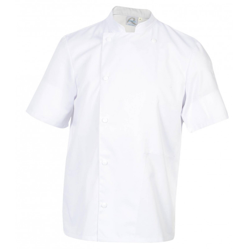 MADRAS Veste de cuisine blanche manches courtes ROBUR