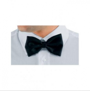 noeud-papillon serveur